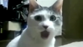 Sex, Sexy, Gostoso - Sexy - 2025 - Incredible - Experience - Video 2886566