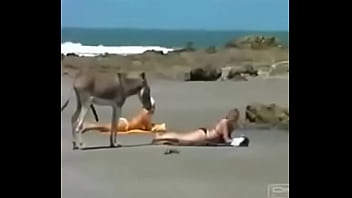 Praia, Jegue - Unknown - 2025 - Steamy - Scene - Video 2884489