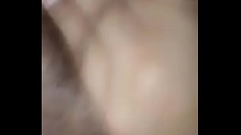 Zorra De Masaya, Nicaragua