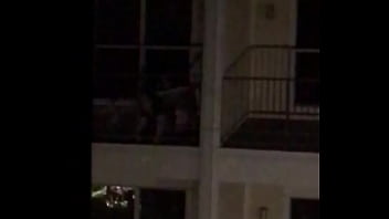 Washington Courtyards