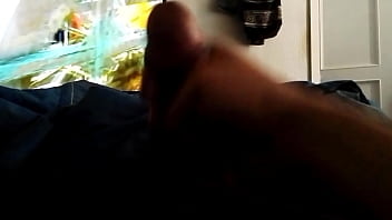 Pajita Viendo A La Viuda Negra.