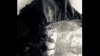 Cdzinha Camisola Nova