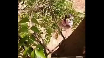 Desi Aunty Pissing Voyeur - 2