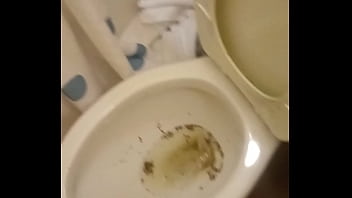 Sissy Ts Briana Bareback