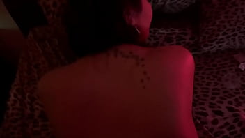 La Pecora Pistoiese Latina