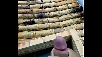 Punheta Exibida Pra Vizinhança