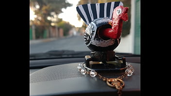 Peluche, Babita - Unknown - 2025 - Incredible - Session - Video 2856000