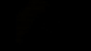 Bubble Butt Mixed Breed