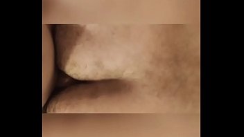 Novinho E Urso No Pelo