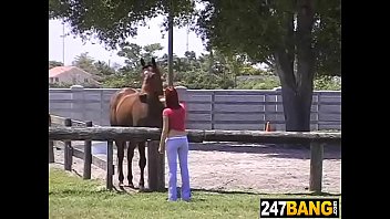 Brandi Belle - Blowjob, Horse, Farm, Brandi-belle - Blowjob - 2025 - Passionate - Performance - Video 2894633