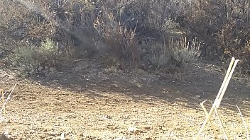 Jacking-off, Soloboy, Dick-flashing - Unknown - 2025 - Wild - Scene - Video 2809062