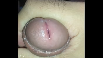 Pal Babão Todo Molhado