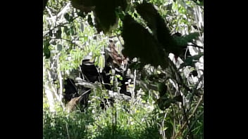 Cruising Cordoba España