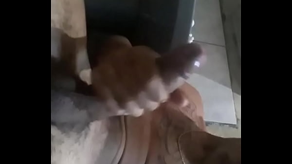 Pauzudo Gozando em c_mera lenta wpp 16991803519