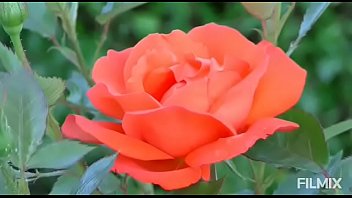 Flor, Arte - Unknown - 2025 - Incredible - Scene - Video 2809928