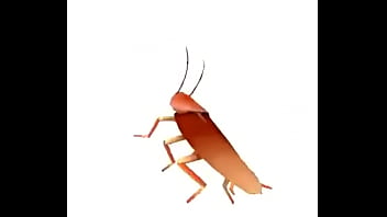 Loira Safada Da Bunda Grande Cheia De Tesão