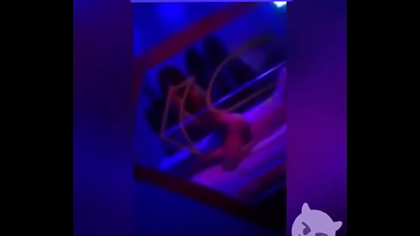 Tu perrita vip de los Olivos 925001456