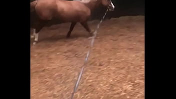 Gostosa, Novinhas, Mulheres - Unknown - 2025 - Steamy - Performance - Video 2789574