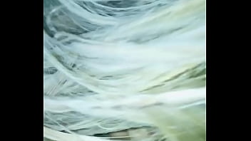 Boquete Na Quarentena