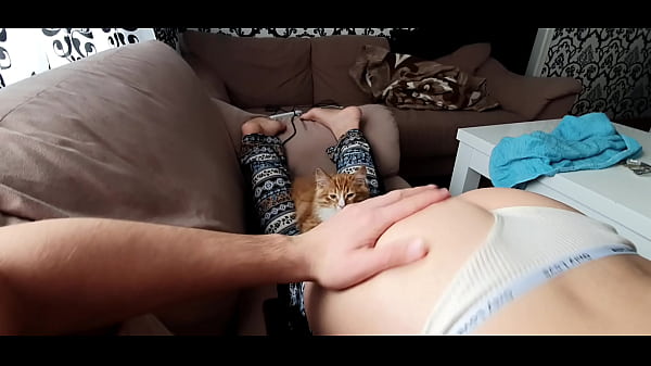 Pussy, Ass, Shake, Cat - Femdom - 2025 - Wild - Experience - Video 2846075