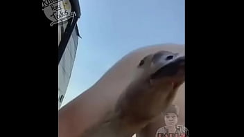 Latina, Mexico, Meme, Stepmom, Memes - Latina - 2025 - Sexy - Performance - Video 2553789