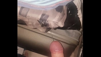 Pajote Corrida Dotado