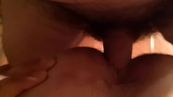 Veado Gozando Com Pau No Cu