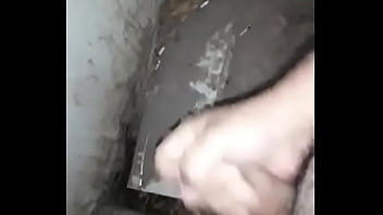 Dandole Caña Ami Pepino