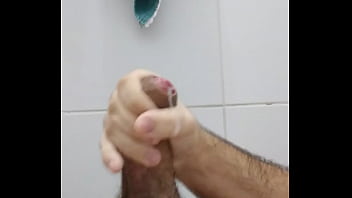 Urso Batendo Punheta No Banheiro.