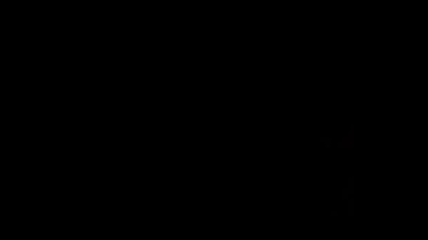 Verification Video - verification-video - Video 2531852