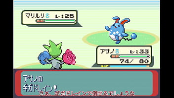 【ゆっくり実況】全てのポケモンが出現するサファイアpart10【改造ポケモン】