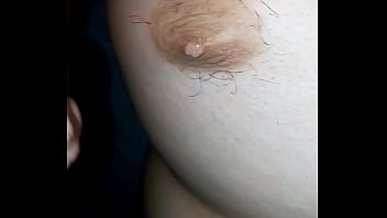 Punhetinha Do Gordo - beer, gay, punheta, gordo, branco, urso, mamilos, small-dick, gordao, pau-pequeno - Video 2724958