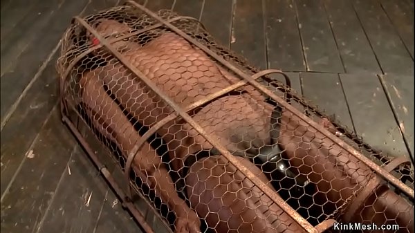 Ebony Slave Gets Vibrated In Cage