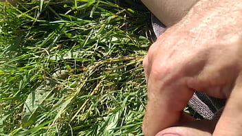 Masturbation, Corridas, Soloboy, Nudista - Unknown - 2025 - Intense - Scene - Video 2707135