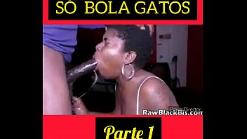 S_ Bola Gatos Parte 1