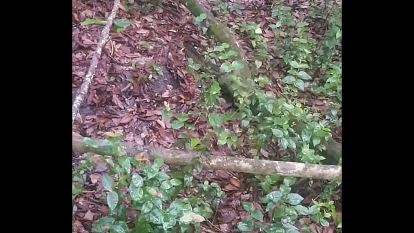 Daniel En El Bosque