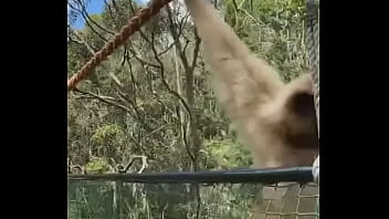 Fucking, Fetish, Gay-sex - Gay - 2025 - Wild - Show - Video 2766514