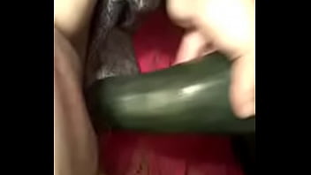 Novinha Tuga E O Pepino 1