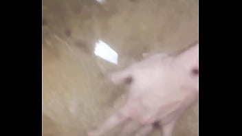 Paso Solo La Cuarentena