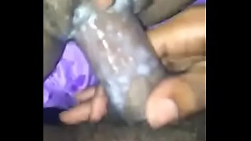 Majolese(springdale)