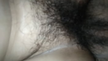 Perrito Con La July P