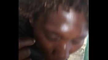 C. Suck Me Dry Humboldt Park Chicago