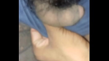 Sisa Locanto My Land