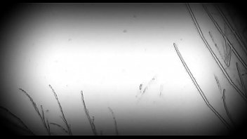 Anal, Cumshot, Cum, Dildo, Ass, Amateur, Vibrator, Toys, Masturbation, Tranny, Shemale, Masturbate, - Shemale - 2025 - Intense - Show - Video 2461454