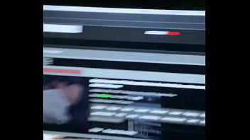 Verification Video - bird, turd - Video 2458021