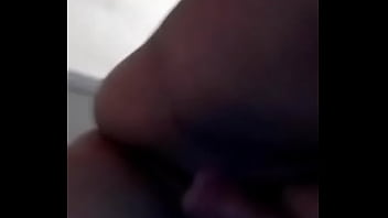 Kat Panocha Mojadita