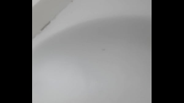 Novinho Da Barra