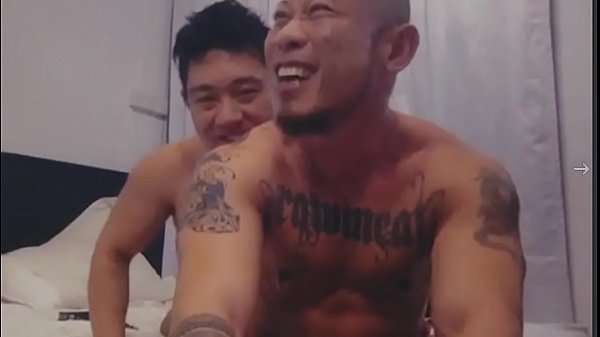 Asians 3way Muscled Pigs