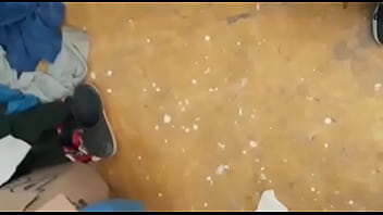 Semental Torreon Coahuila México