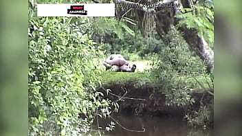 Casal Da Zona Rural é Flagrado Fazendo Sexo No Mato